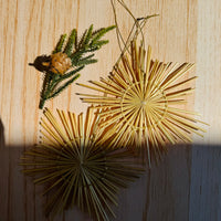 Popotillo Medium Star Ornaments Set