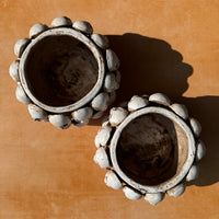 Calavera Planter