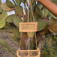 Aurora Hanging Basket