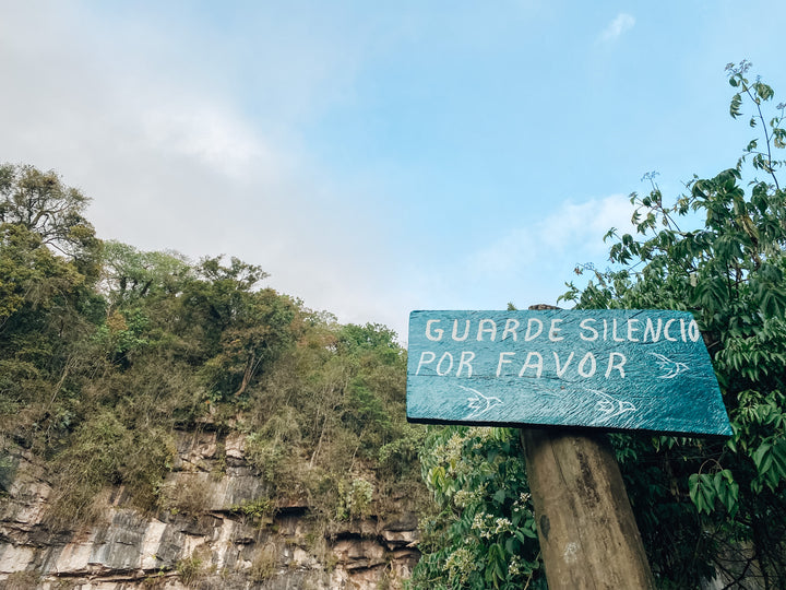 Adventure to El Sótano de las Golondrinas (Cave of Swallows)