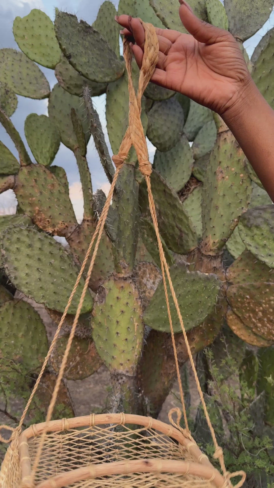 Eréndira Hanging Basket